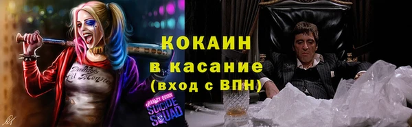 хмурый Арсеньев
