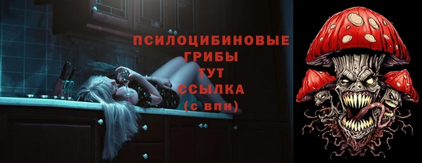 дмт Армянск