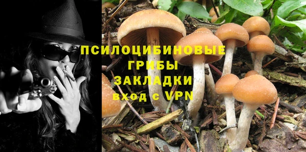 спиды Аркадак