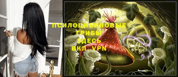 спиды Аркадак