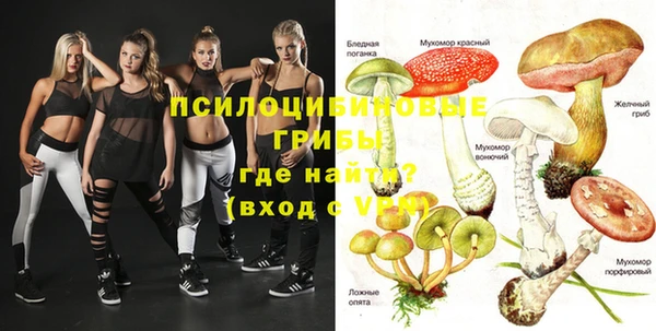 твердый Балахна
