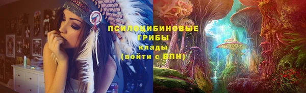 прущий лед Алзамай