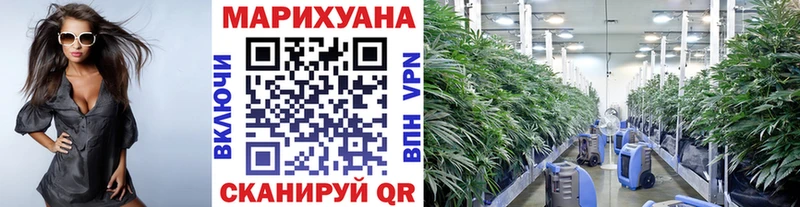 МАРИХУАНА гибрид  Нижние Серги 